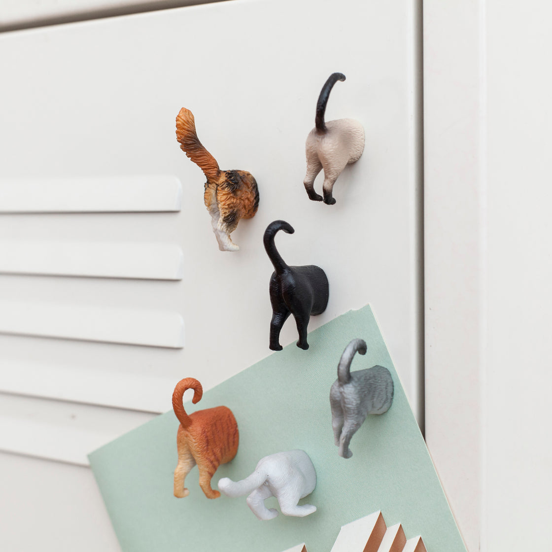 Animal Butt Magnets
