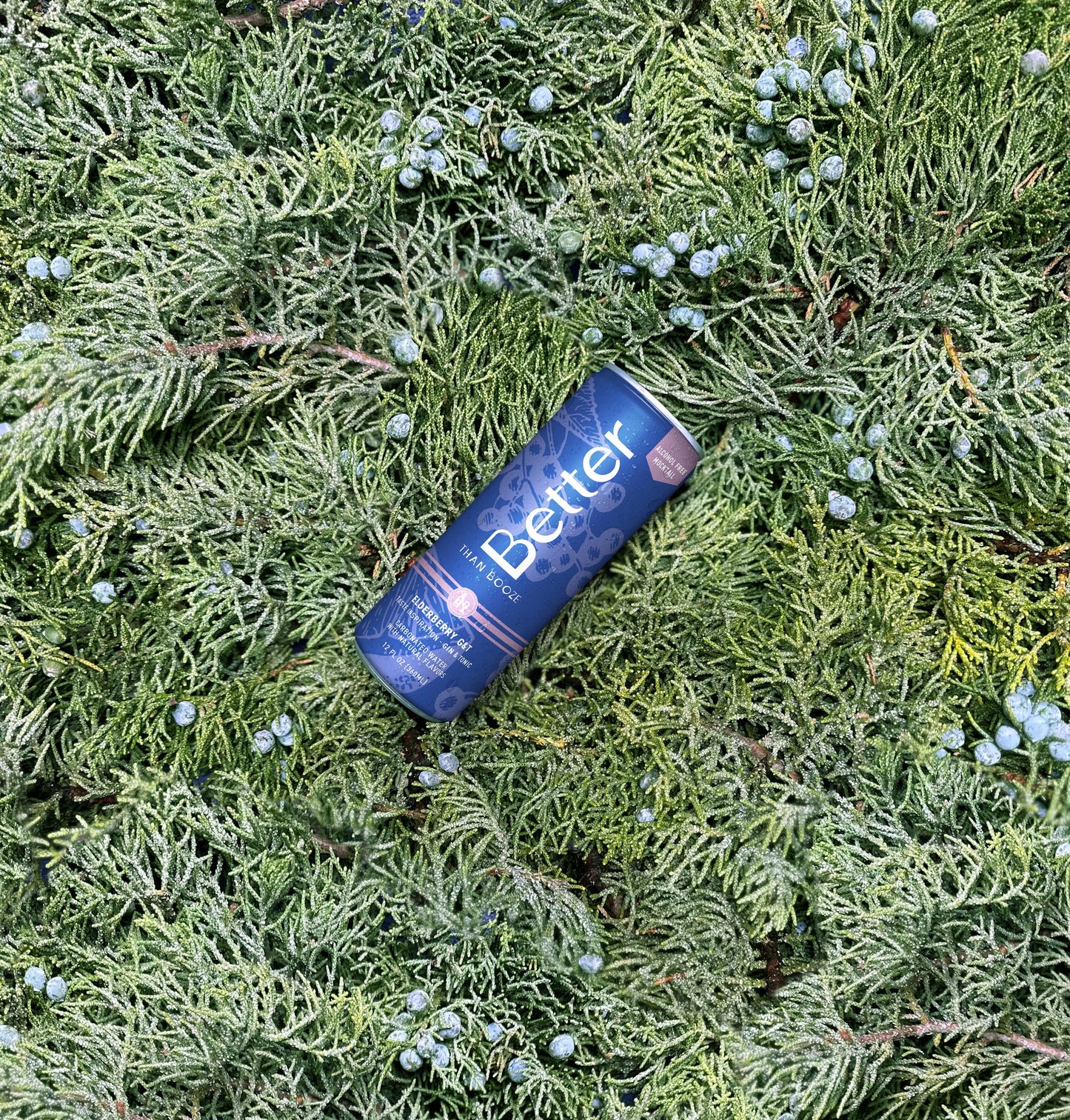 Non-Alcoholic Gin & Tonic Drink - Elderberry G & T Mocktail