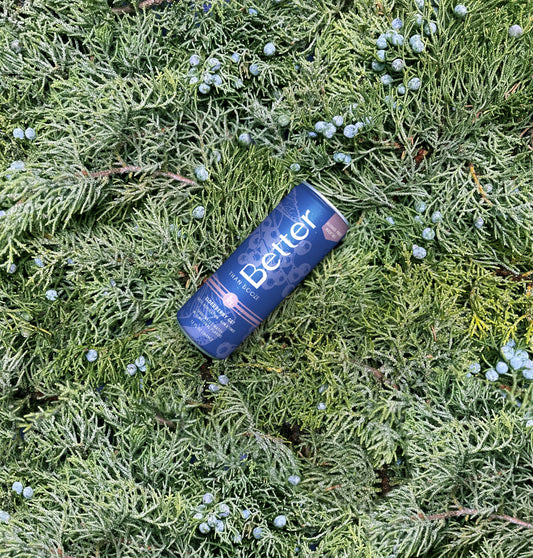 Non-Alcoholic Gin & Tonic Drink - Elderberry G & T Mocktail