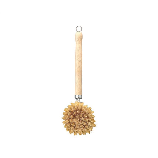 Beyond Gourmet Dish Washing Vegetable Scrub Brush