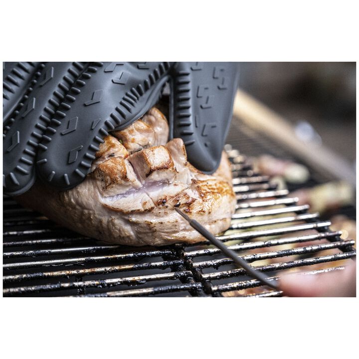 Zwilling Digital Thermometer