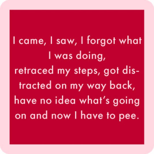 COASTER: i Came, I Saw