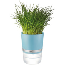 Load image into Gallery viewer, Herb Pot
