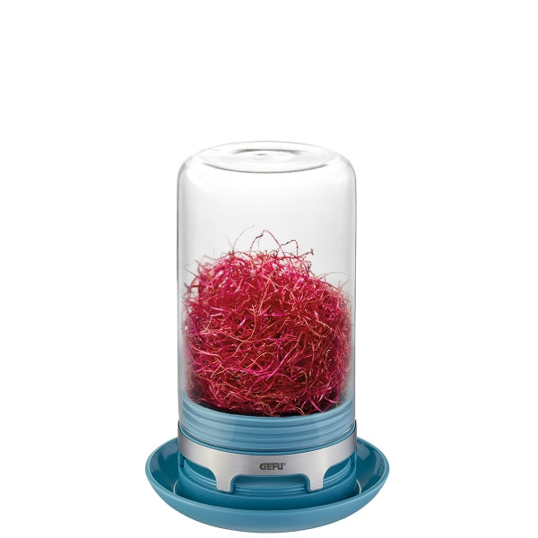 Sprouting Jar